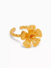 Aika Ring