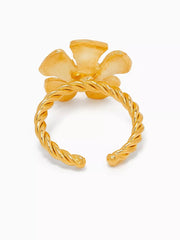 Aika Ring